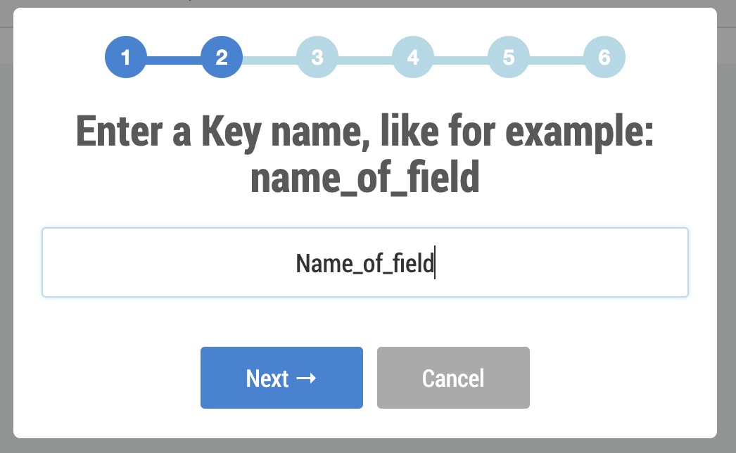 Name_of_Field.png